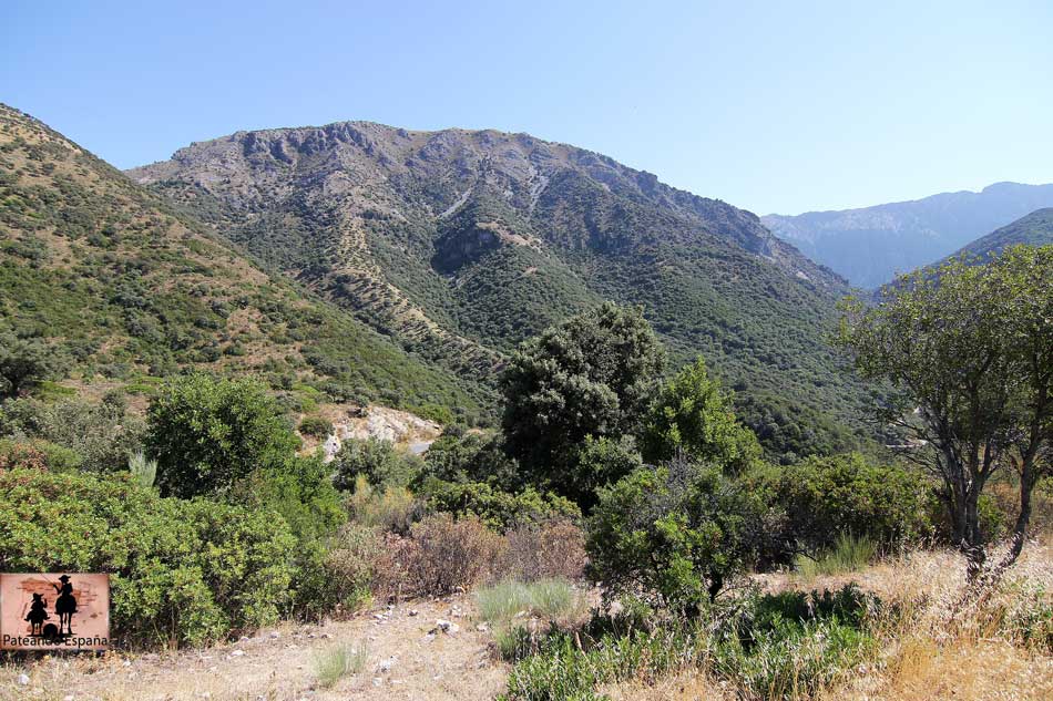 Parque Natural Sierra de Grazalema